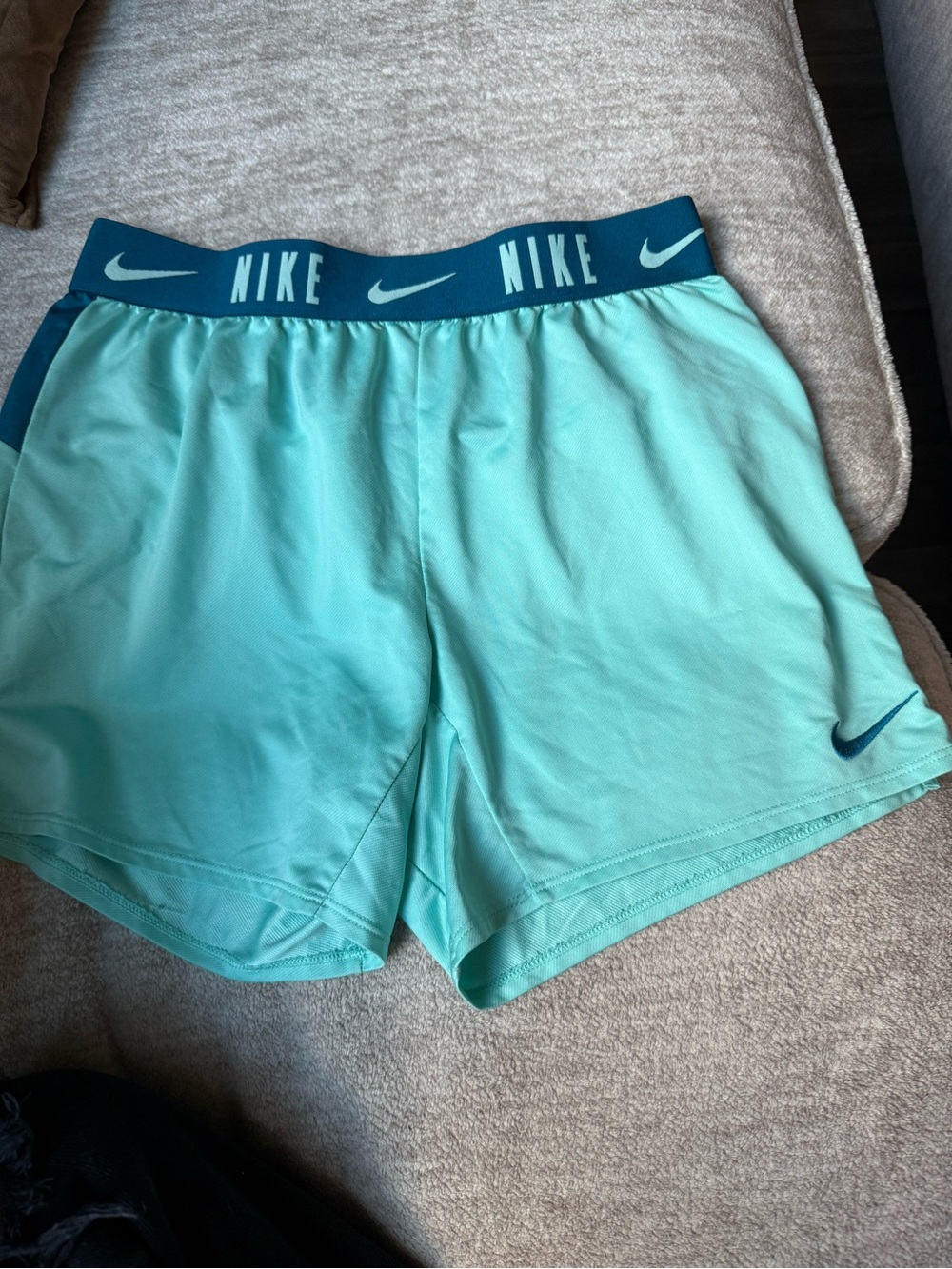 Nike Aqua and Teal Dri-FIT Athletic Shorts